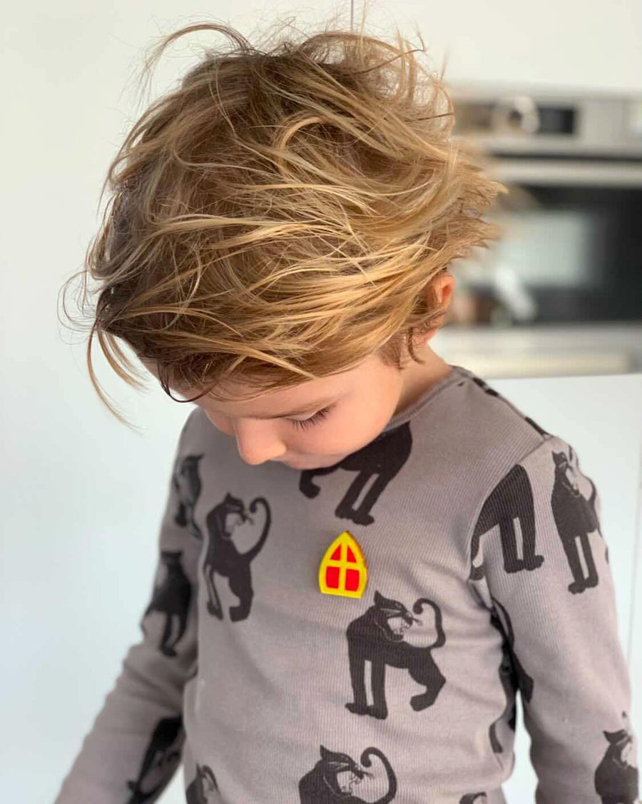 Sinterklaas broche sieraden kinderen